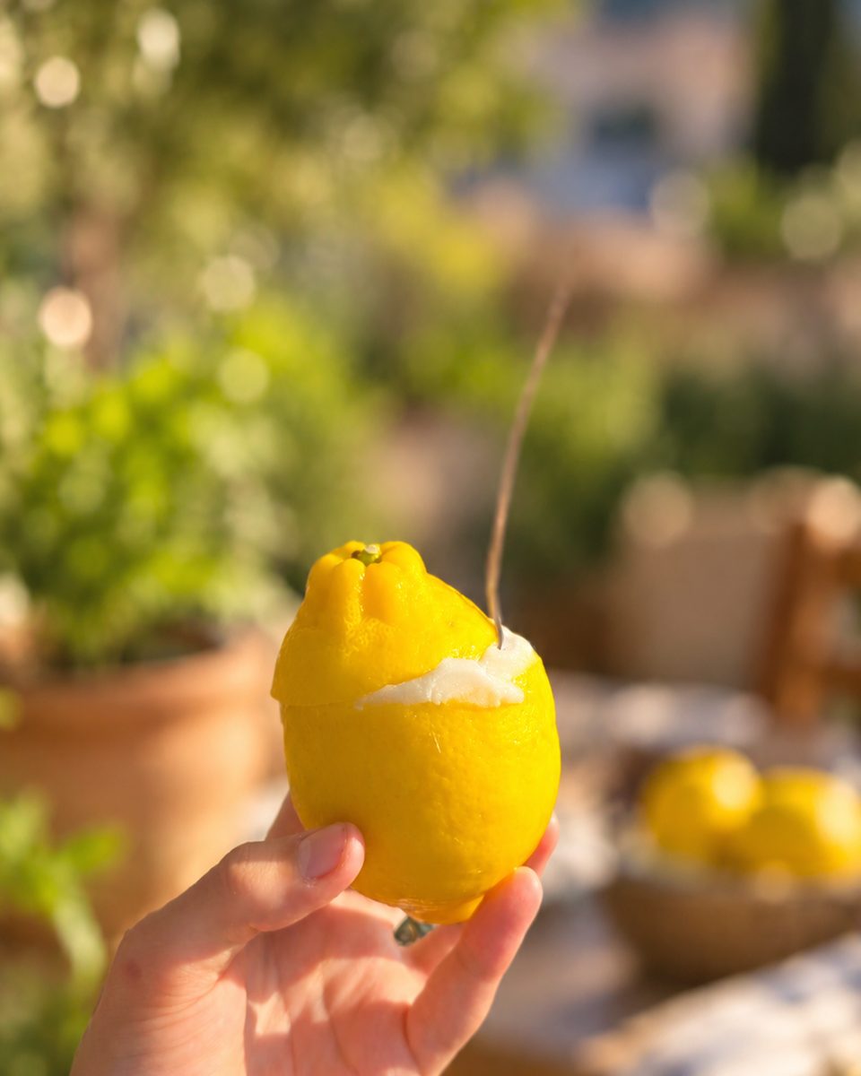 Sorbet Citron Gimoni